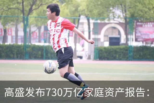 高盛发布730万亿家庭资产报告：中国家庭财富正在换锚，房产不再是唯一核心支撑